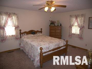 302 Boundary Road Creal Springs, IL 62922 - Photo 7 of 15
