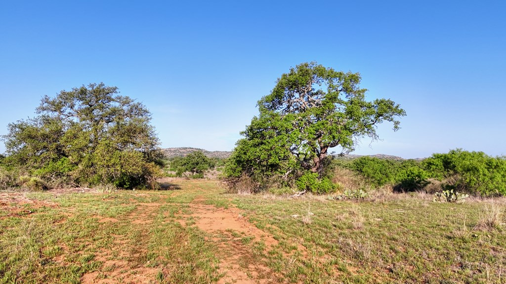 6540 County Road 409 Llano, TX 78643 - Photo 18 of 24