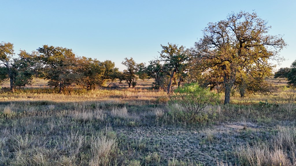 6540 County Road 409 Llano, TX 78643 - Photo 19 of 24