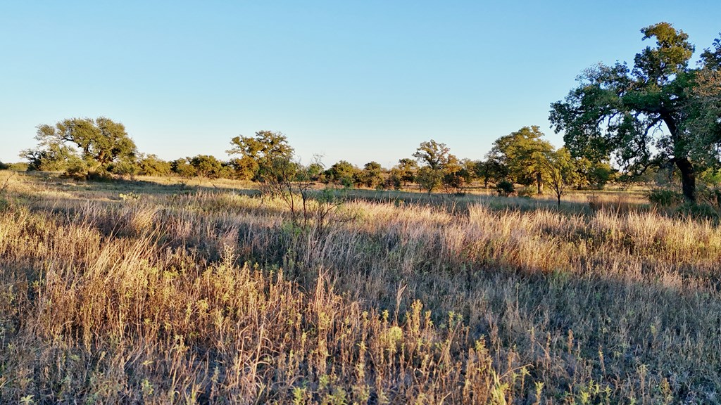 6540 County Road 409 Llano, TX 78643 - Photo 20 of 24