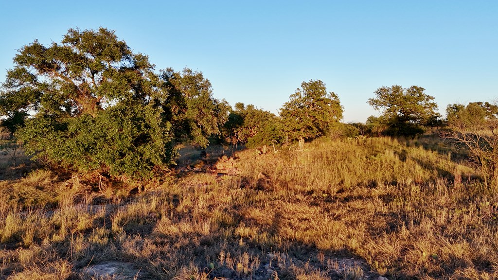 6540 County Road 409 Llano, TX 78643 - Photo 23 of 24