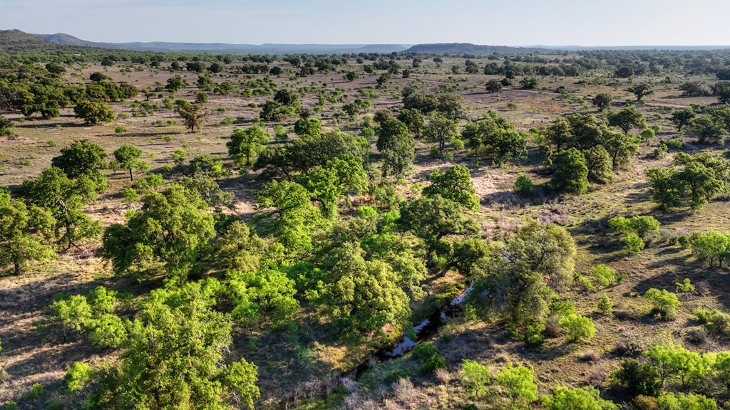 6540 County Road 409 Llano, TX 78643 - Photo 5 of 24