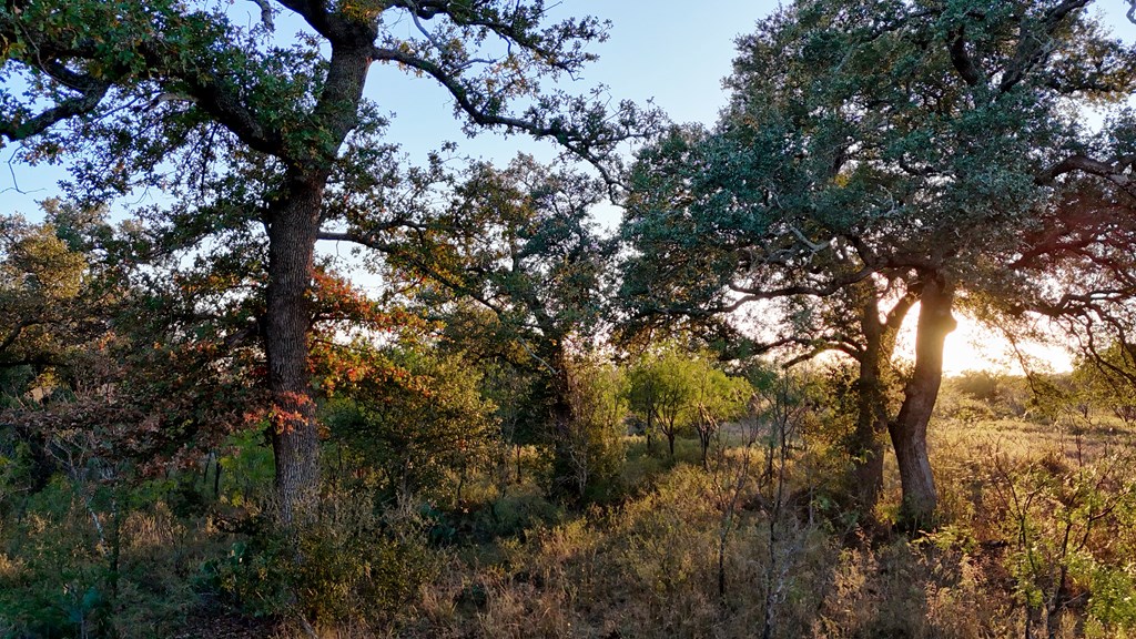 6540 County Road 409 Llano, TX 78643 - Photo 8 of 24
