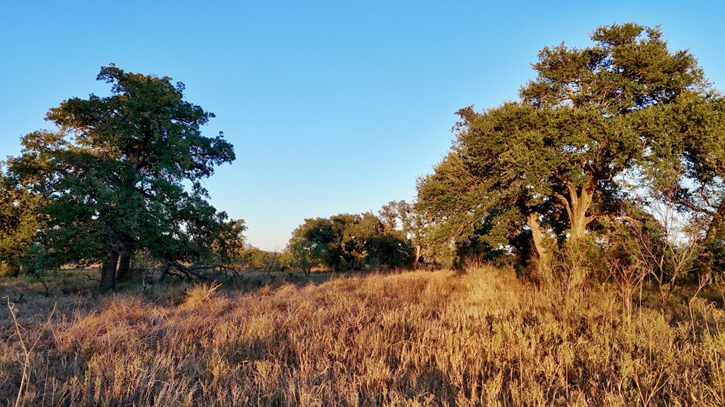 6540 County Road 409 Llano, TX 78643 - Photo 9 of 24