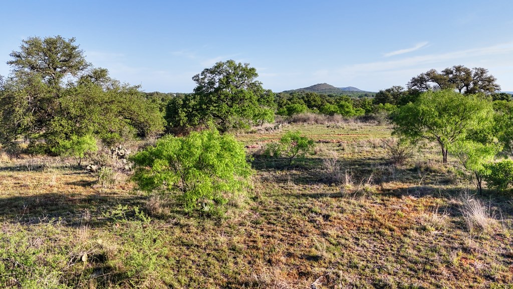 6540 County Road 409 Llano, TX 78643 - Photo 10 of 24