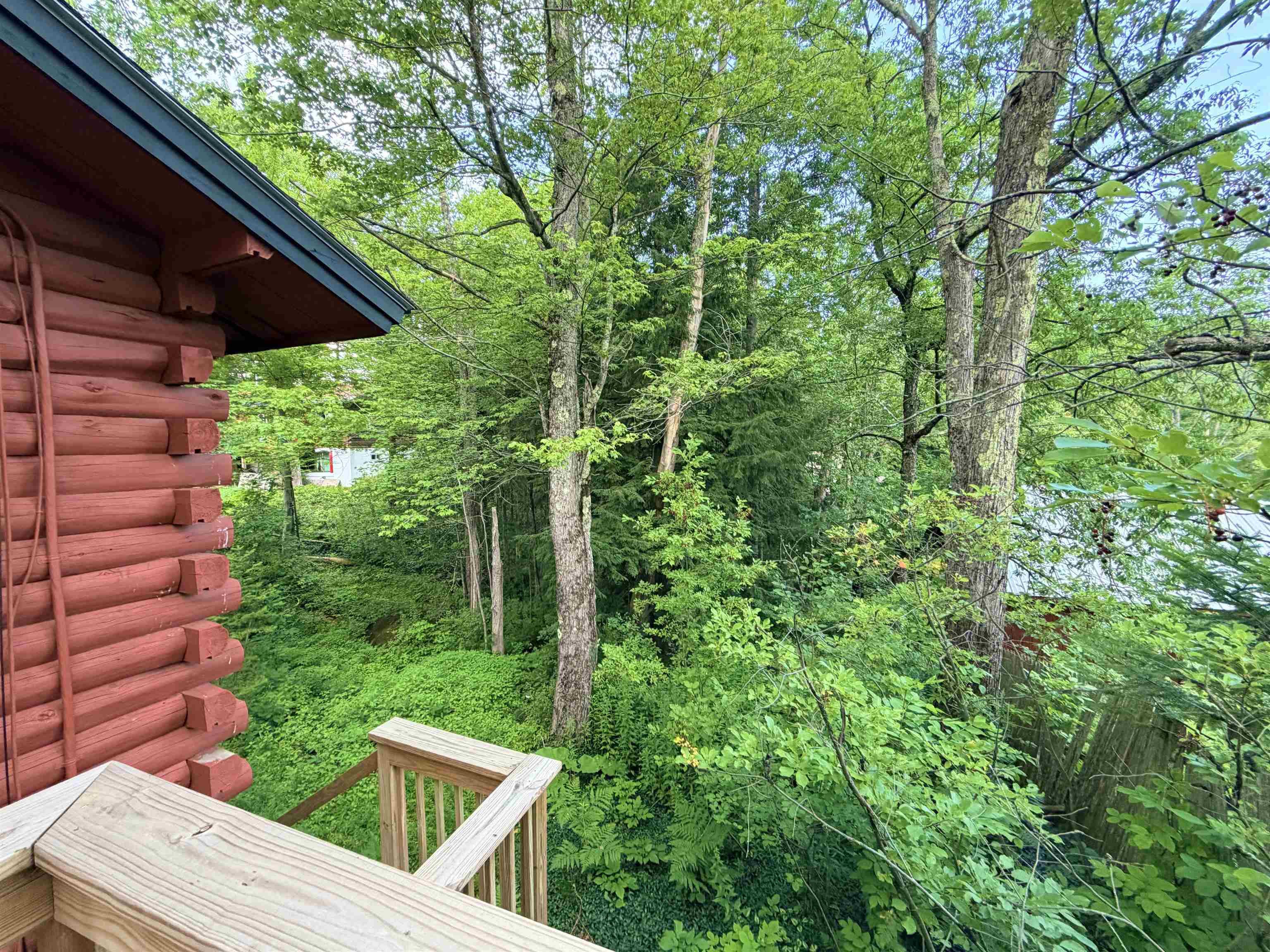 274 Vermont Rte 100 West Dover, VT 05356 - Photo 21 of 25 Gallery Image 21