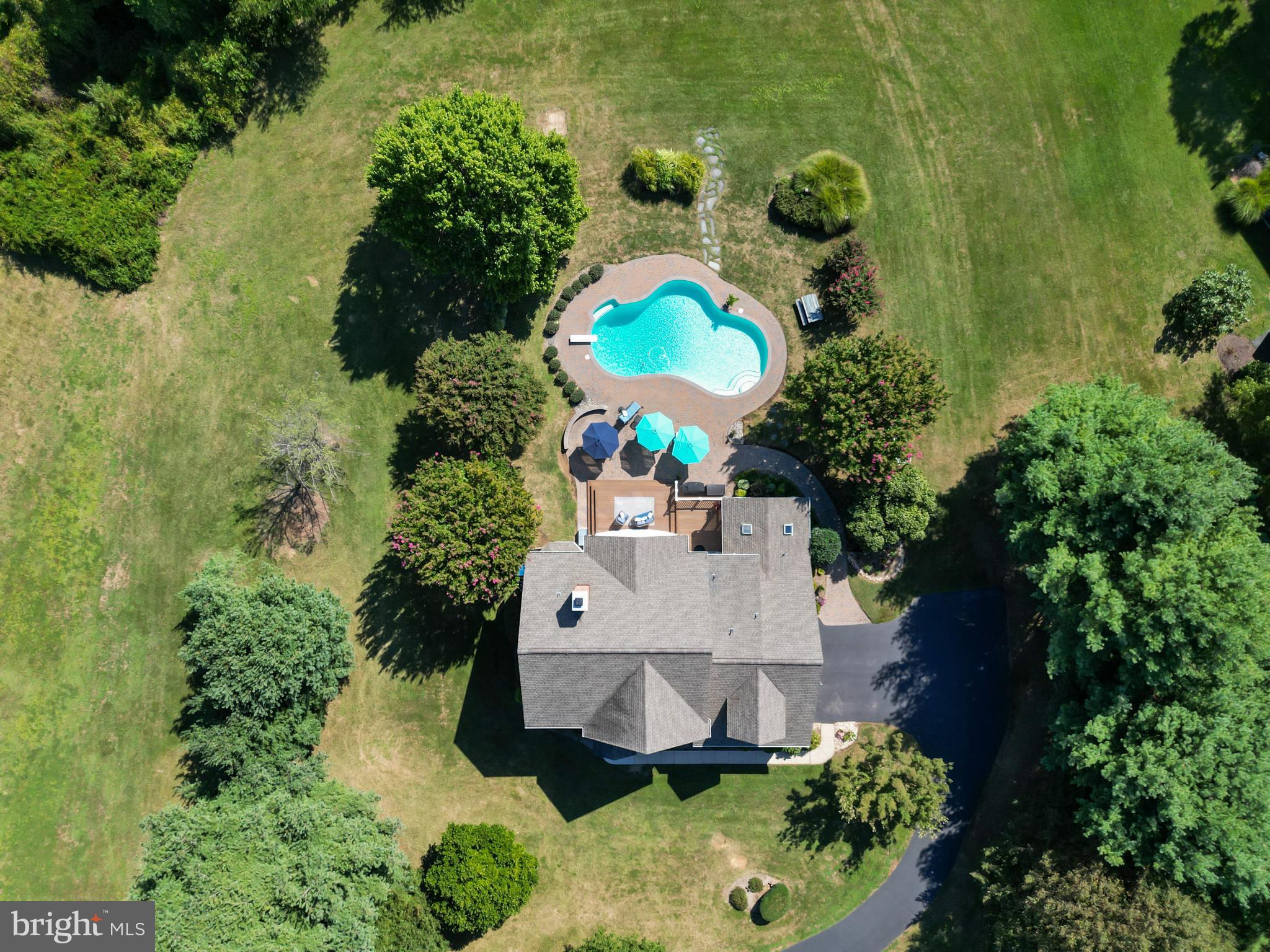 2861 Cox Neck Road Chester, MD 21619 - Photo 9 of 79 an aerial view of a house with a yard and large trees