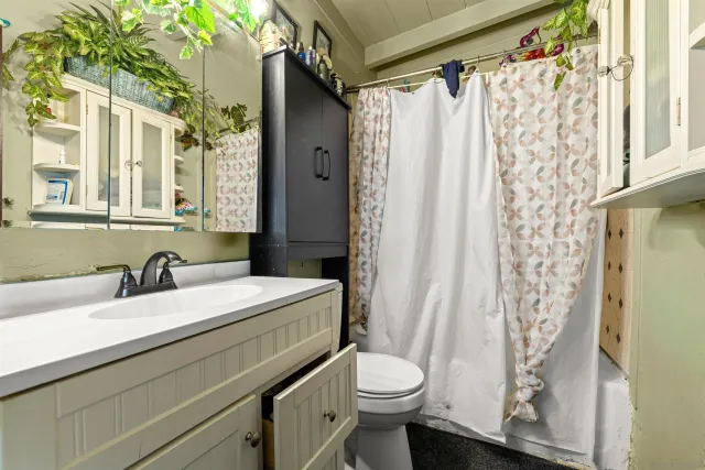 a bathroom with a sink a toilet and a shower curtain