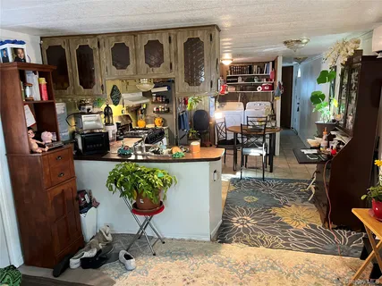a living room filled with furniture and a potted plant