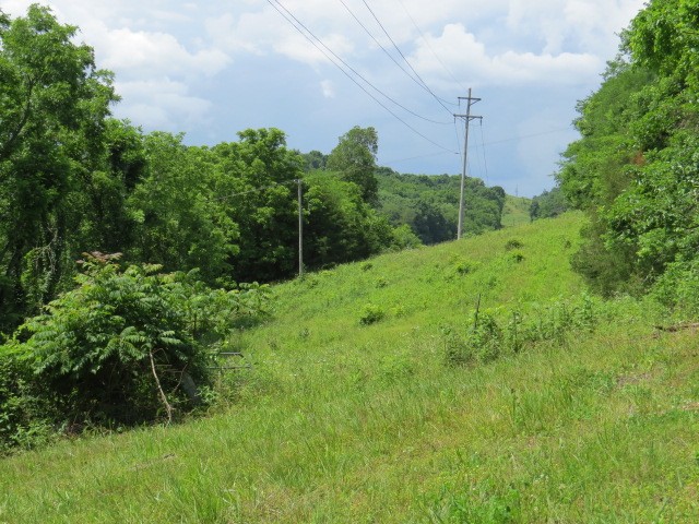 200 Hardy Road Pulaski, TN 38478 - Photo 14 of 20