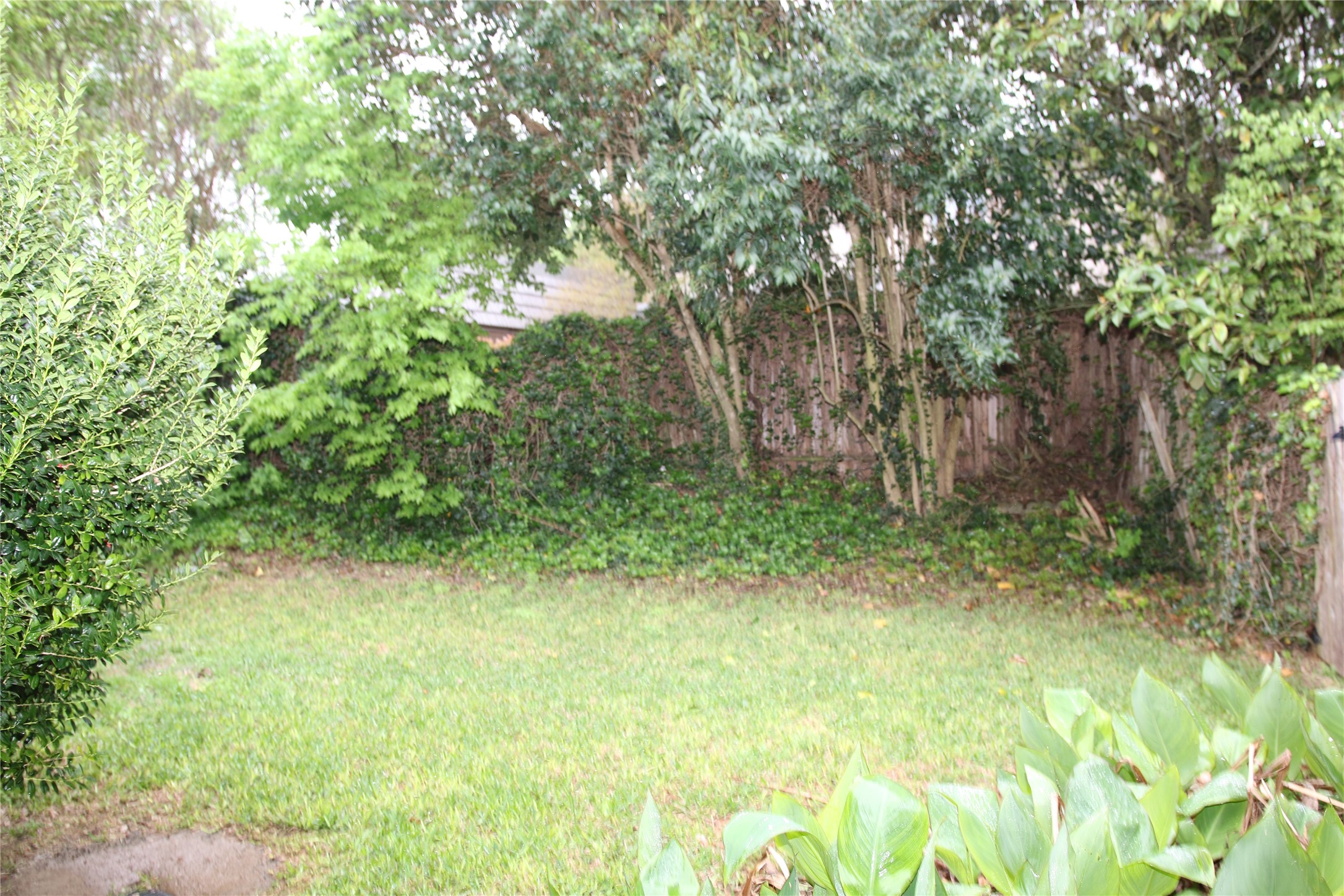 700 Castle Ridge Road, Unit A Austin, TX 78746 - Photo 30 of 34 a view of backyard with green space
