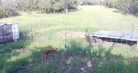 a view of a backyard with swimming pool and outdoor space