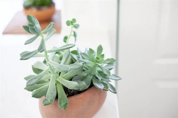 $10,000 | 25662 Cresta Loma, Laguna Niguel, CA 92677