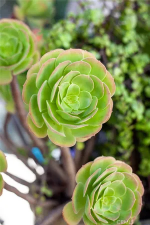 $10,000 | 25662 Cresta Loma, Laguna Niguel, CA 92677