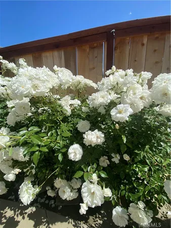 $10,000 | 25662 Cresta Loma, Laguna Niguel, CA 92677