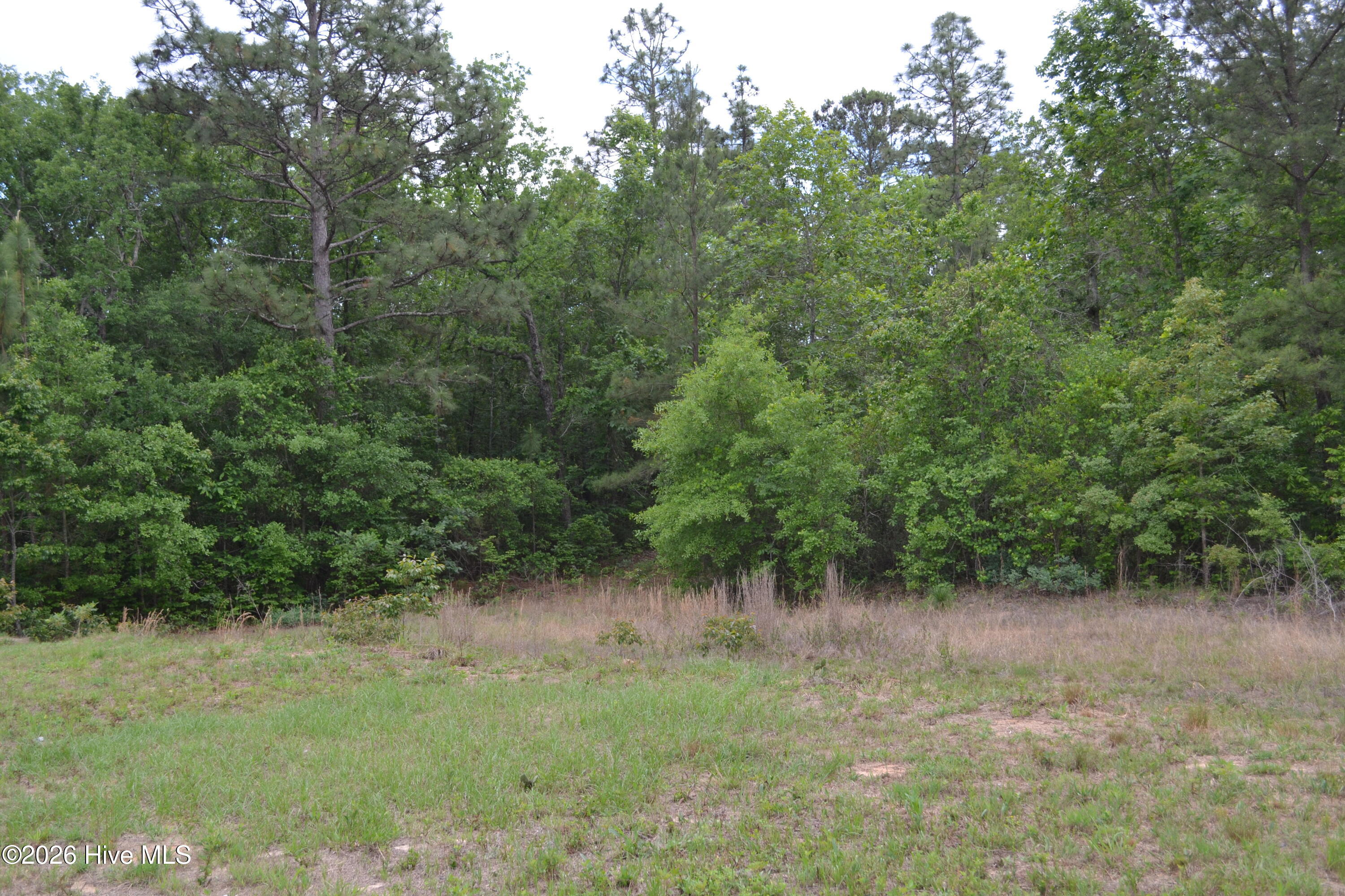 0 Old Barnwell Road Aiken, SC 29803 - Photo 16 of 20 Old Barnwell Rd (39)