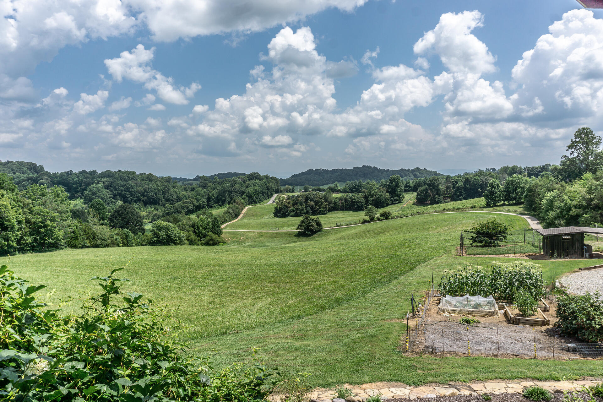 415 Morrison Road Chuckey, TN 37641 - Photo 49 of 85 415MorrisonC_067