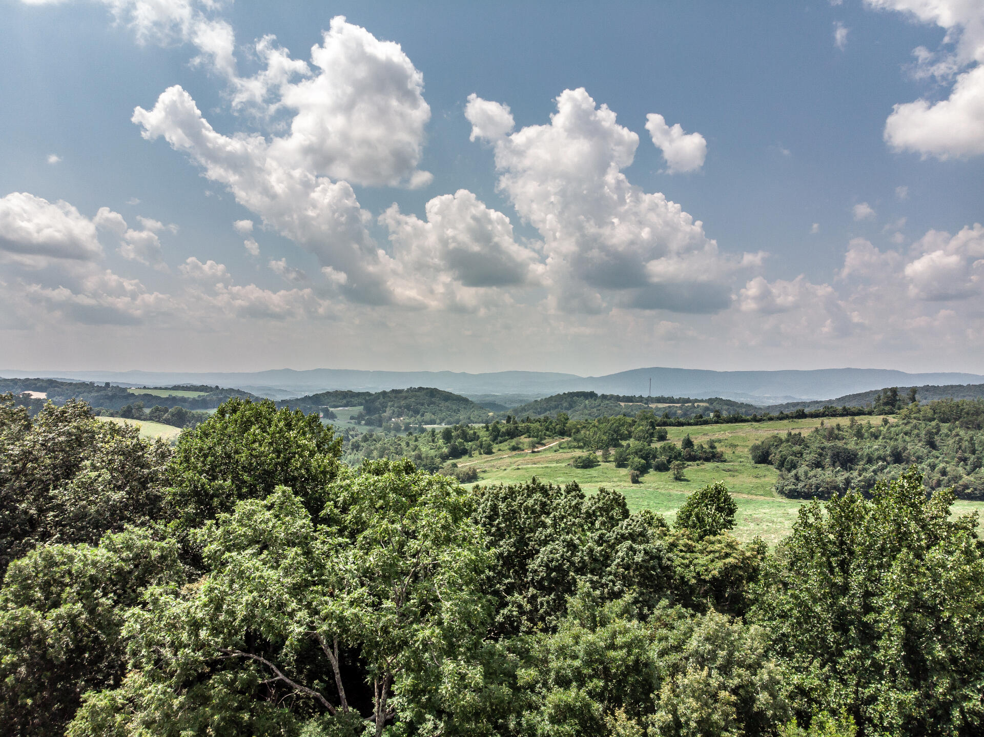 415 Morrison Road Chuckey, TN 37641 - Photo 58 of 85 415MorrisonC_102