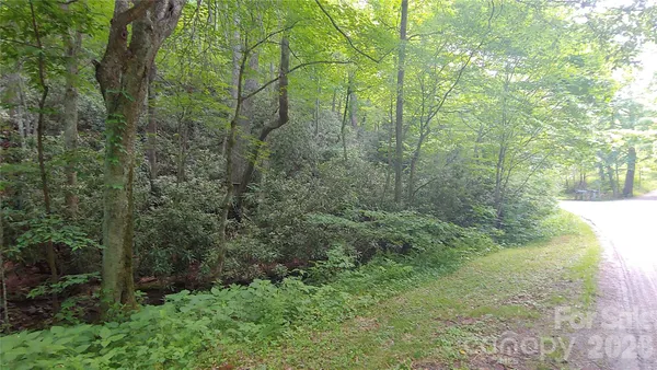 a view of a yard with large trees