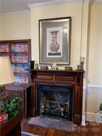 a living room with a fireplace and a potted plant
