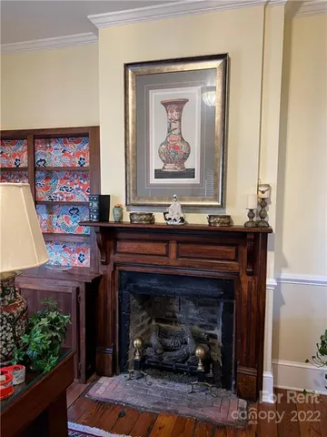 a living room with a fireplace and a potted plant