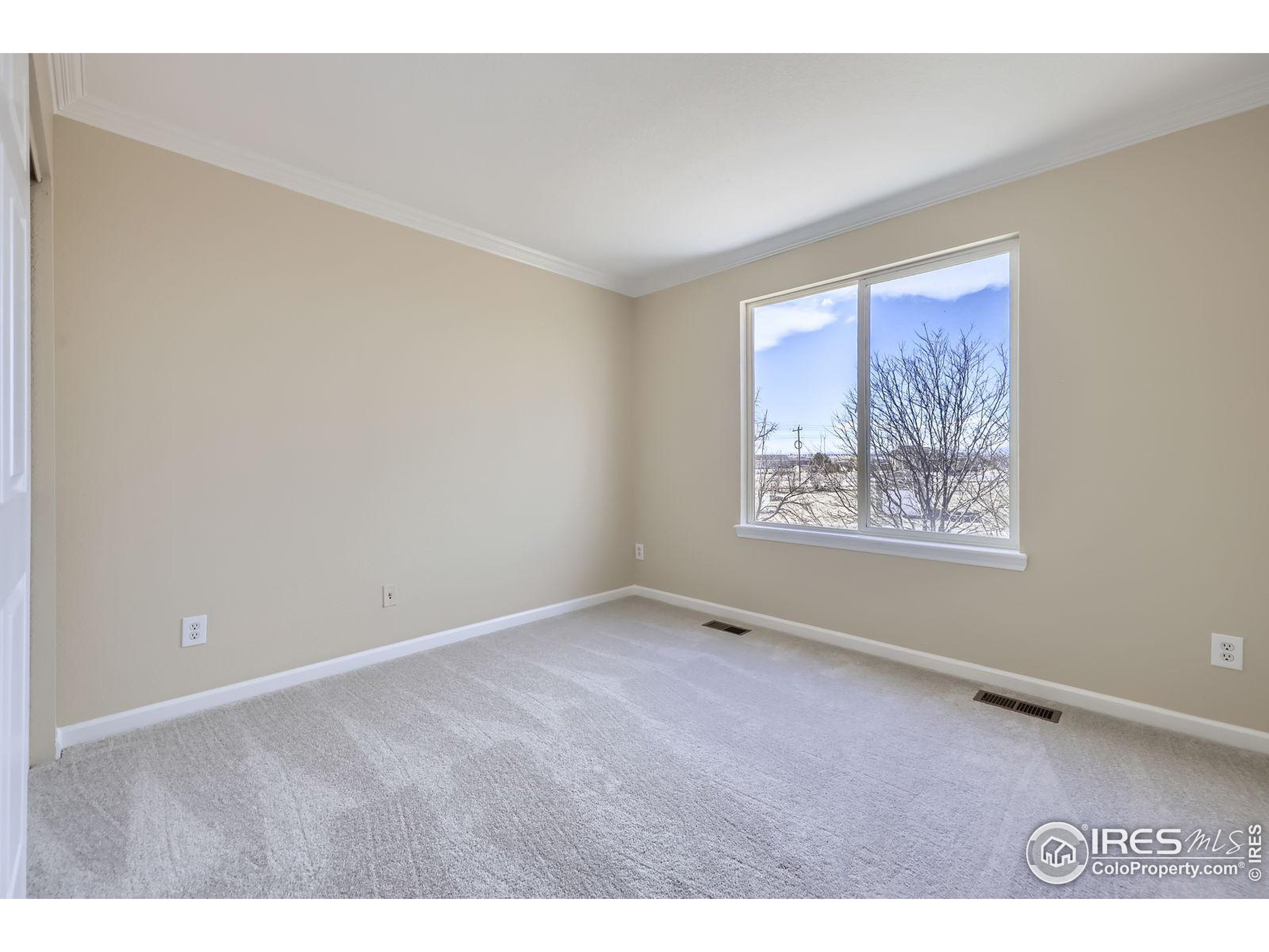 16021 Verbena Street Brighton, CO 80602 - Photo 30 of 38