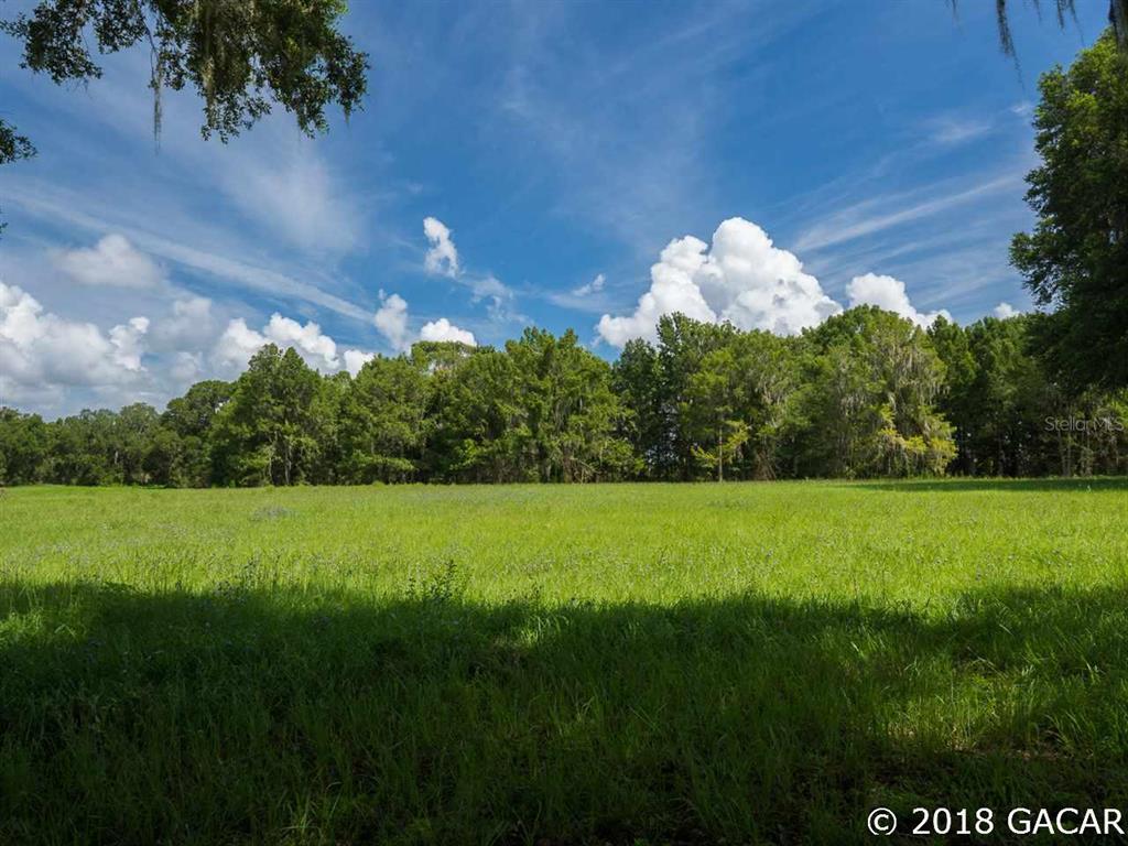 0 Northwest 43rd Court Road Citra, FL 32113 - Photo 1 of 1 Gallery Image 1