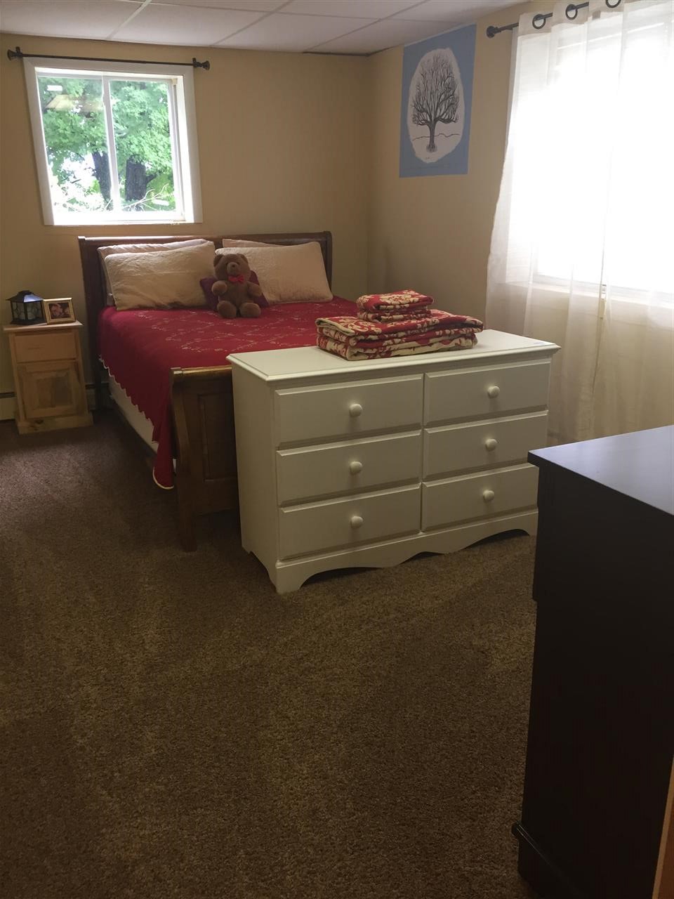 10025 West Jordan Road Remus, MI 49340 - Photo 28 of 50 1828092-27.JPG