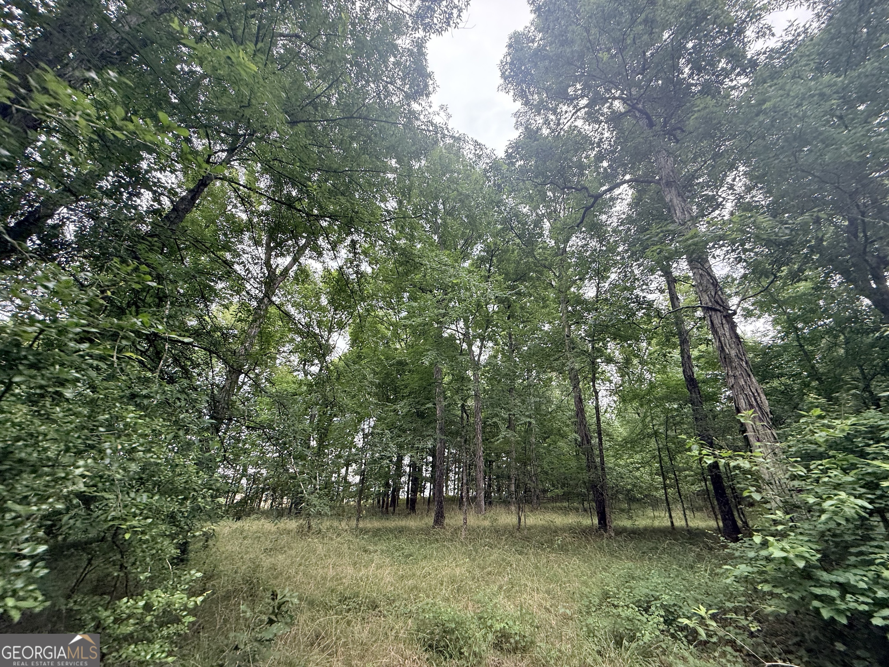 1 Bethesda Church Road Lexington, GA 30648 - Photo 17 of 78