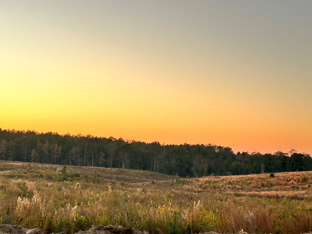 Undisclosed Address Liberty, MS 39645 - Photo 11 of 61 Photo 11