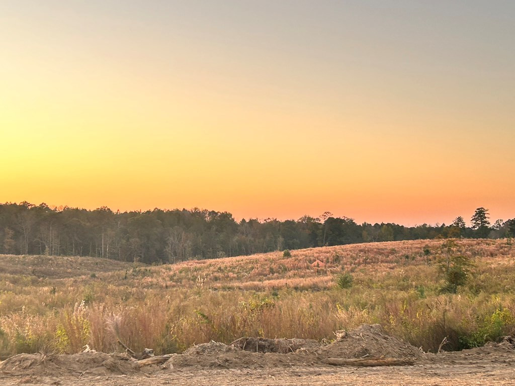 Undisclosed Address Liberty, MS 39645 - Photo 12 of 61 Photo 12