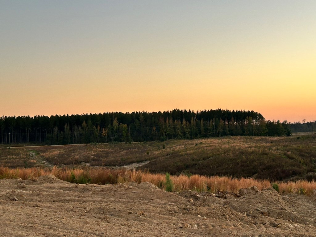 Undisclosed Address Liberty, MS 39645 - Photo 18 of 61 Photo 18