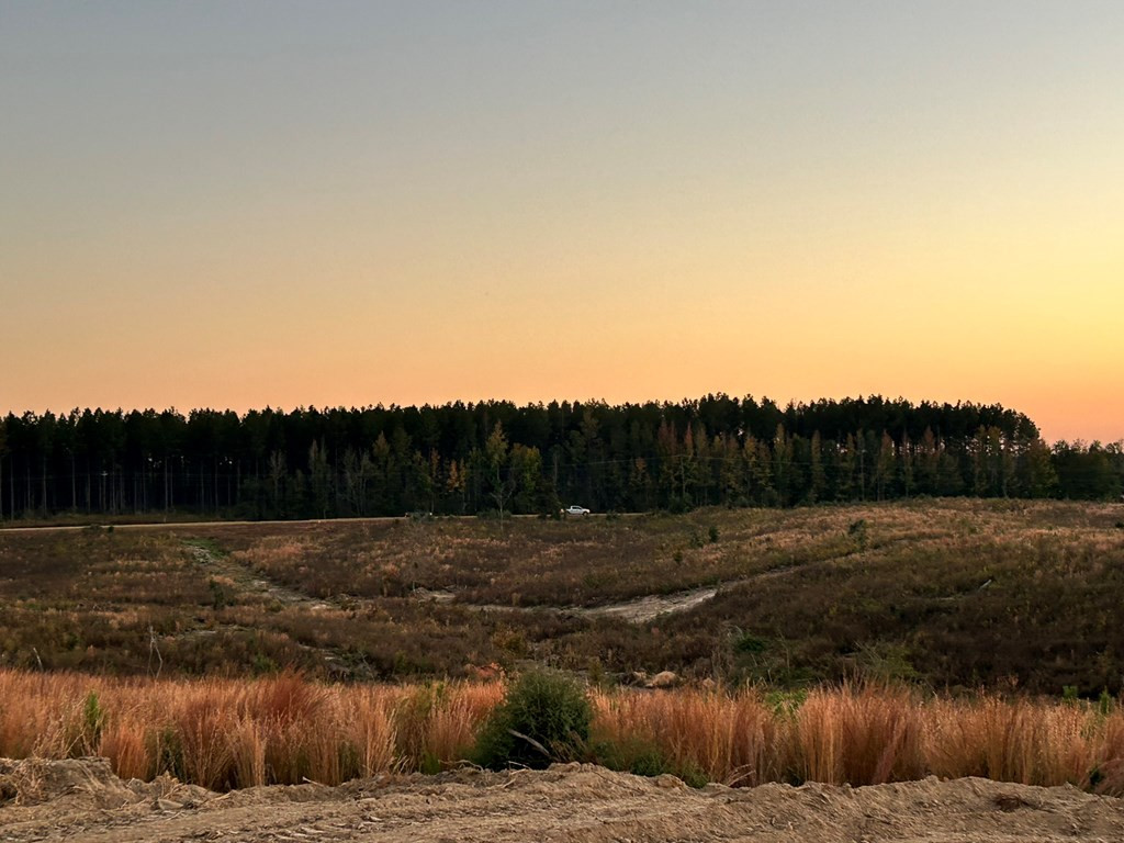 Undisclosed Address Liberty, MS 39645 - Photo 23 of 61 Photo 23