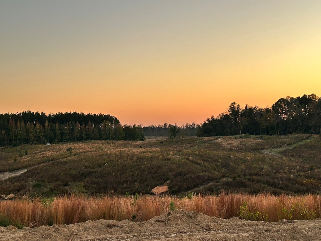 Undisclosed Address Liberty, MS 39645 - Photo 24 of 61 Photo 24
