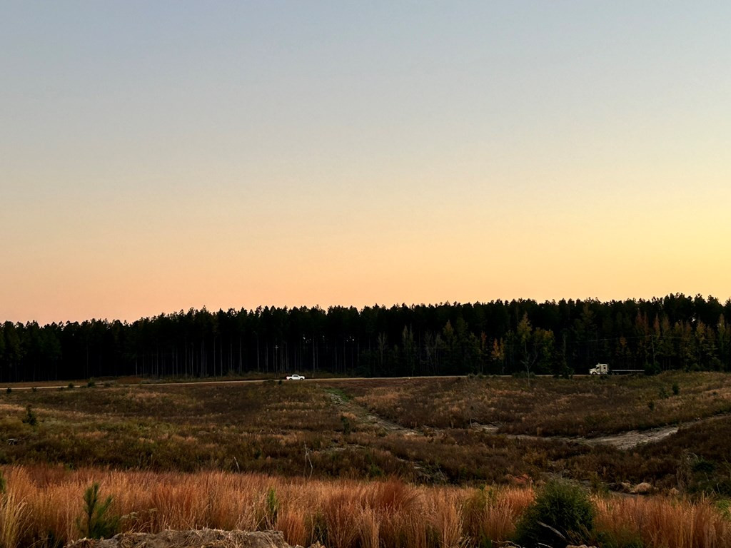 Undisclosed Address Liberty, MS 39645 - Photo 26 of 61 Photo 26