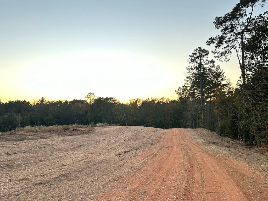 Undisclosed Address Liberty, MS 39645 - Photo 33 of 61 Photo 33