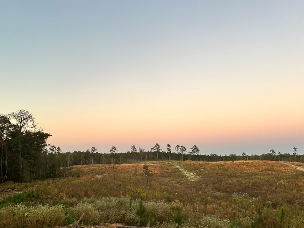 Undisclosed Address Liberty, MS 39645 - Photo 36 of 61 Photo 36