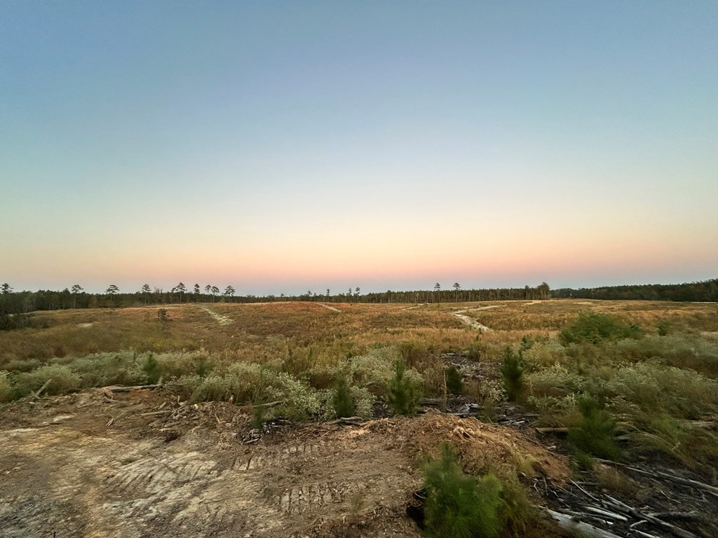 Undisclosed Address Liberty, MS 39645 - Photo 38 of 61 Photo 38