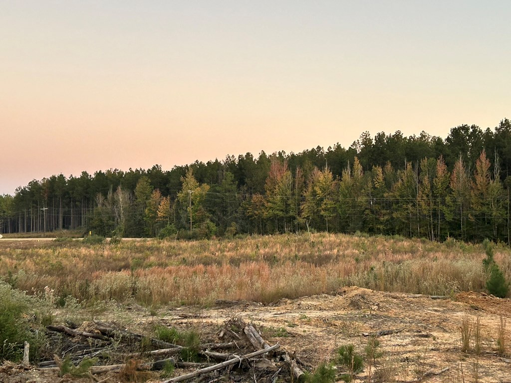Undisclosed Address Liberty, MS 39645 - Photo 43 of 61 Photo 43