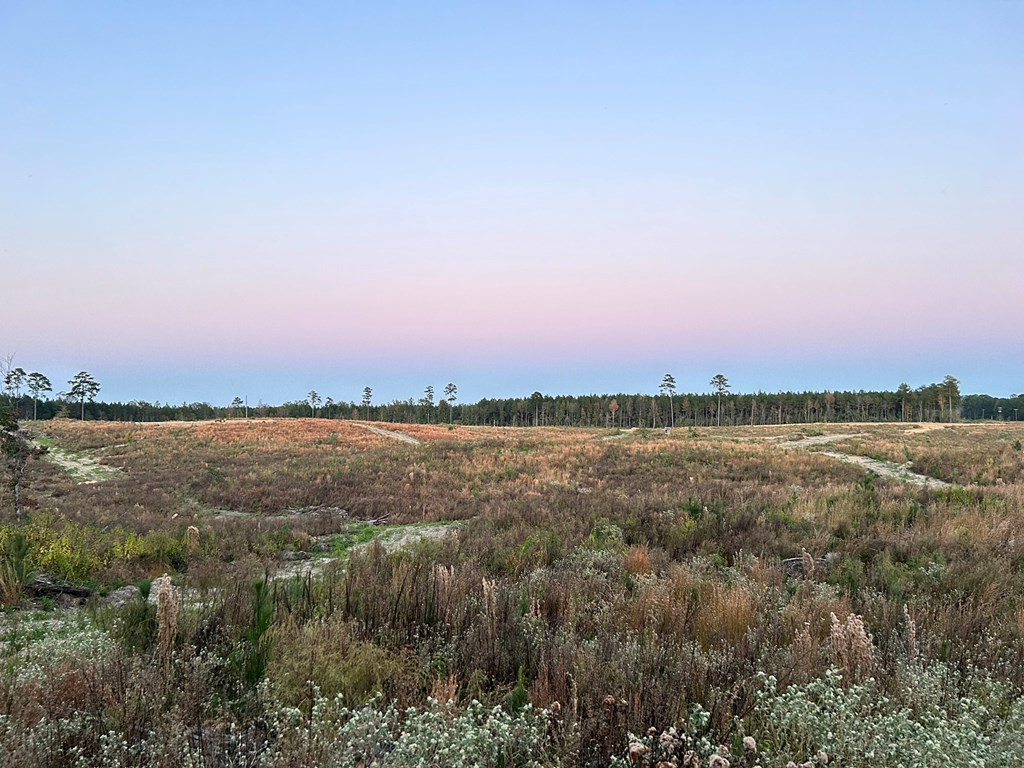 Undisclosed Address Liberty, MS 39645 - Photo 48 of 61 Photo 48