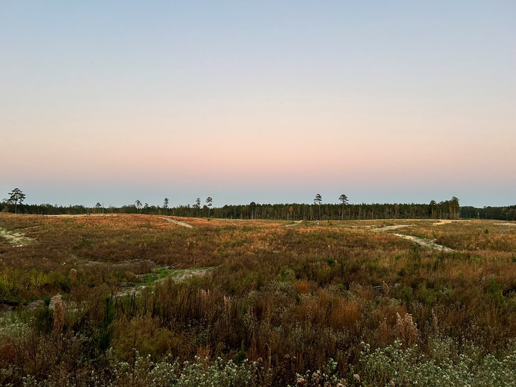 Undisclosed Address Liberty, MS 39645 - Photo 50 of 61 Photo 50