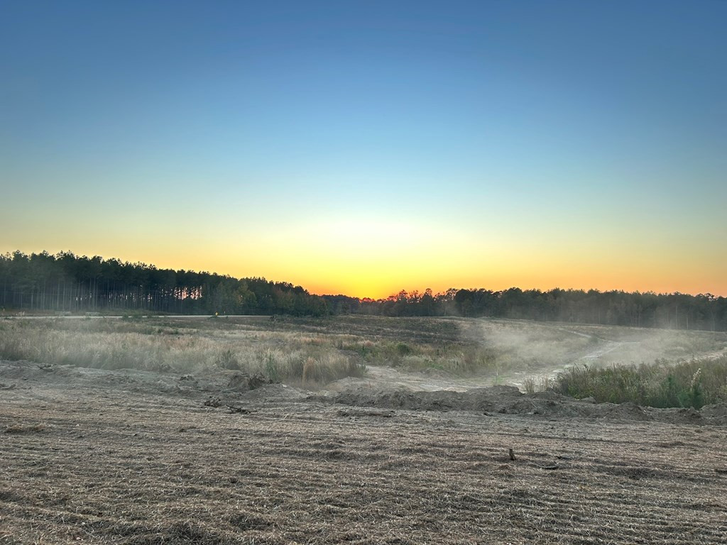 Undisclosed Address Liberty, MS 39645 - Photo 5 of 61 Photo 5