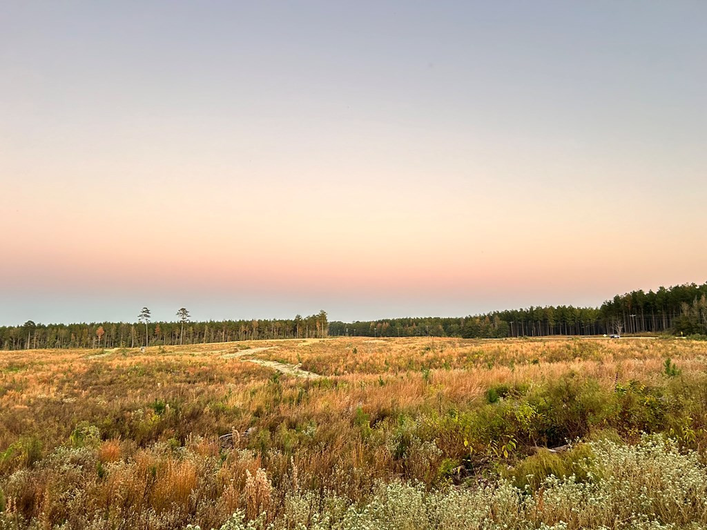 Undisclosed Address Liberty, MS 39645 - Photo 53 of 61 Photo 53