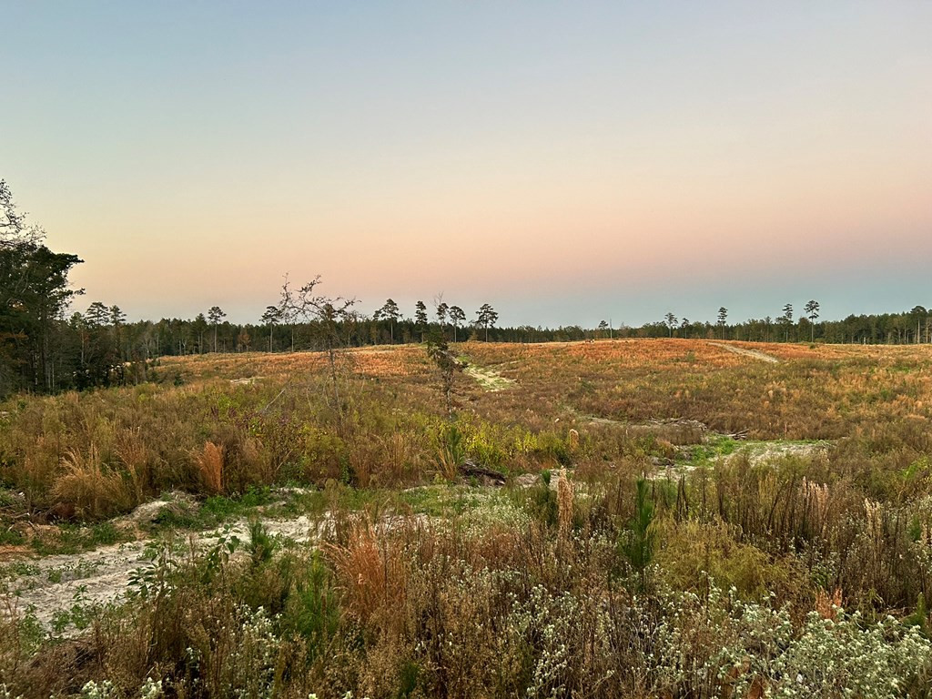 Undisclosed Address Liberty, MS 39645 - Photo 57 of 61 Photo 57