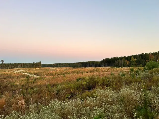 $53,400 | Undisclosed Address, Liberty, MS 39645