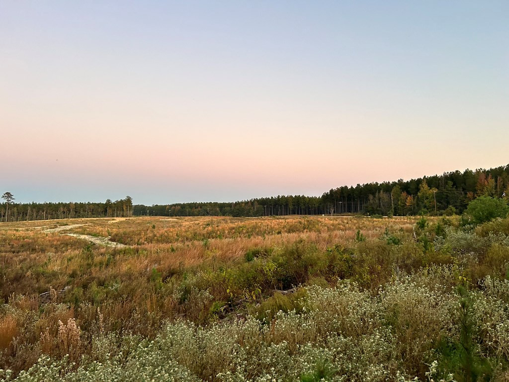 Undisclosed Address Liberty, MS 39645 - Photo 61 of 61 Photo 61