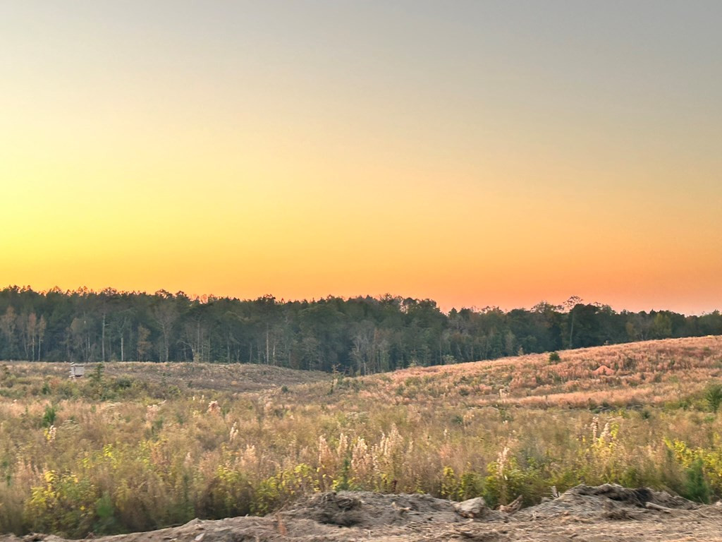 Undisclosed Address Liberty, MS 39645 - Photo 10 of 61 Photo 10