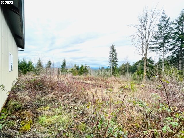 23240 South Ridge Road Beavercreek, OR 97004 - Photo 5 of 7 Gallery Image 5