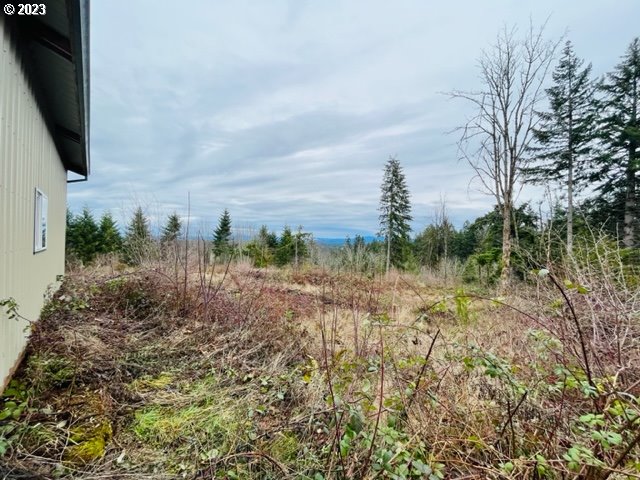 23240 South Ridge Road Beavercreek, OR 97004 - Photo 6 of 7 Gallery Image 6