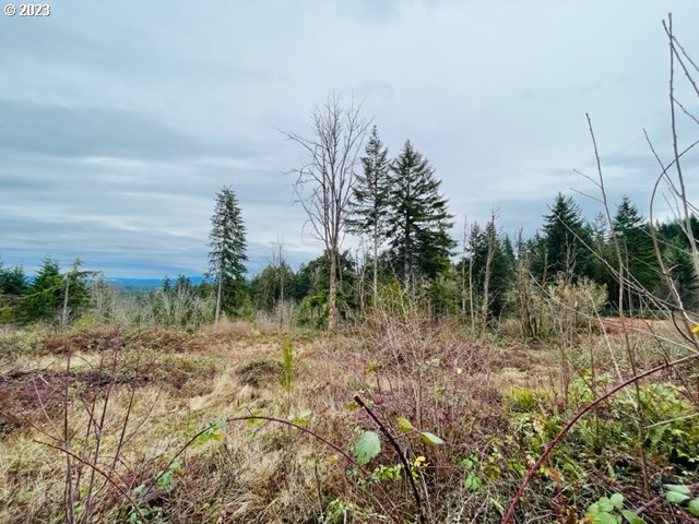 23240 South Ridge Road Beavercreek, OR 97004 - Photo 7 of 7 Gallery Image 7